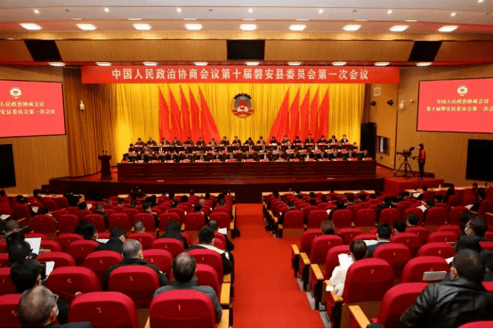 磐安民建代表、委员“两会”履职尽责风采