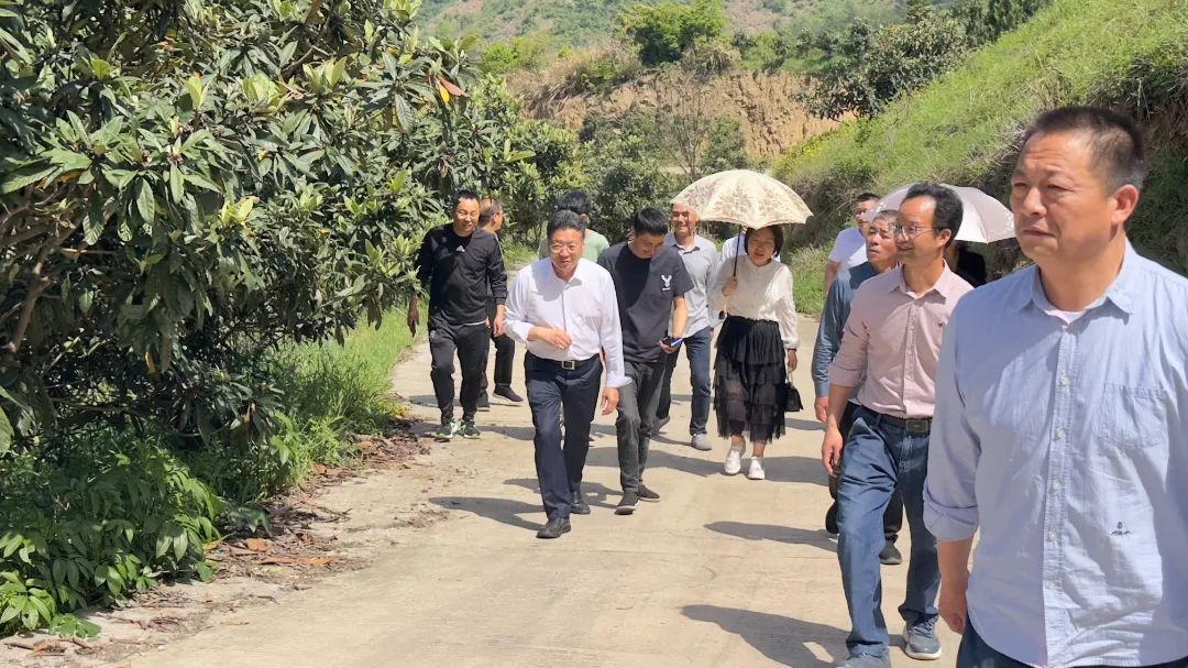 杨坚明带队赴武义开展少数民族村乡村振兴调研活动