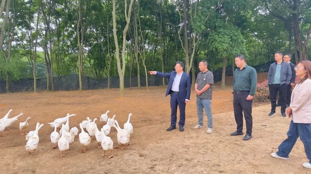 杨坚明带队赴兰溪开展结对帮扶村乡村振兴调研活动