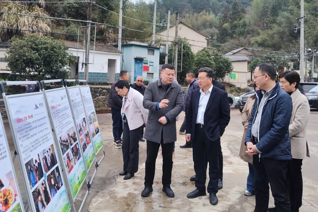 “辣椒村”卖起风景 民建组团上山“把脉”