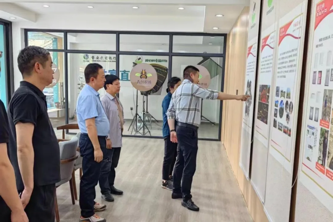 民建织里支部和经贸支部来金交流共建