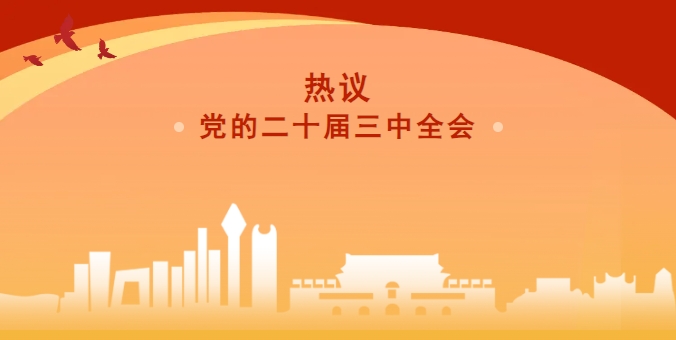 【聚焦全会·民建声音】热议二十届三中全会（四）